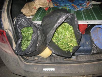 Четверых рязанцев поймали с большими партиями растительных наркотиков